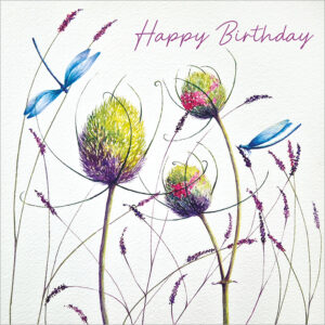 Dragonfly Birthday