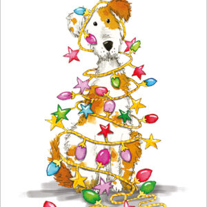 ACD03 - Fairy Lights